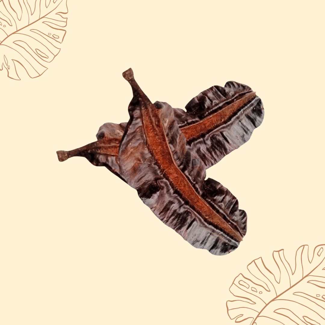 Tetrapleura tetraptera, Uhio, Aridan, Aidan