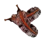 Tetrapleura tetraptera