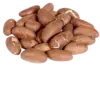 bitter cola orogbo
