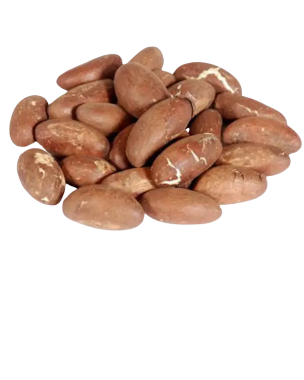 bitter cola orogbo