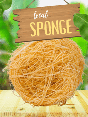 Local Nigerian Spong
